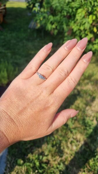 Fotka Žádost o ruku